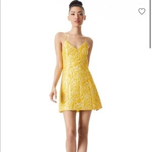 Alice and Olivia TAYLA STRUCTURED LANTERN MINI DRESS